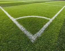 陈志朋误认,艾福杰尼遭,质疑,征途国际,征途国际平台,征途国际官网,征途国际模拟器在线试玩