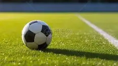 陈坤精心策划为舒淇庆生，赞其纯真随性