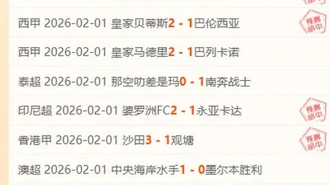 波鸿第15轮取得开门红：德甲胜利之战圆满落幕